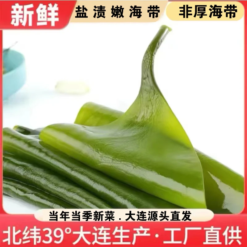 大连新鲜盐渍海带凉拌煲汤火锅【5斤/含箱】