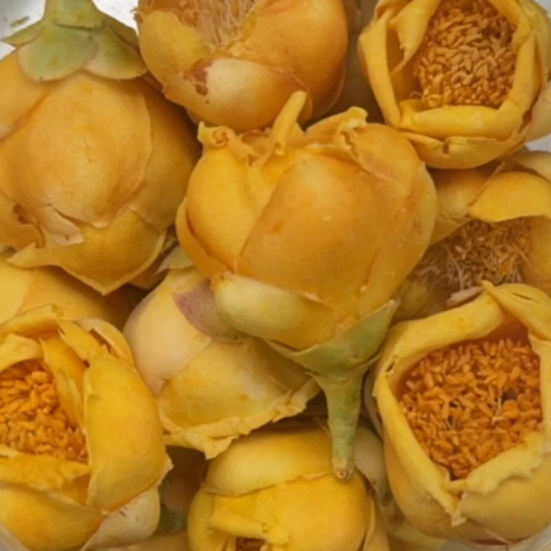 【小西品甄选】 金花茶（现场散称）