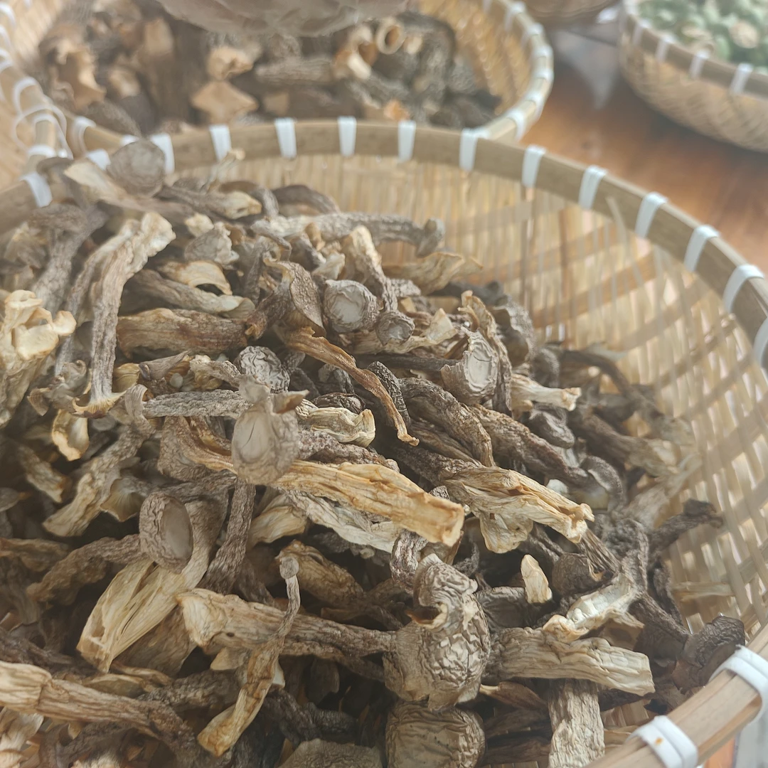 【小西品甄选】 山货鹿茸菇