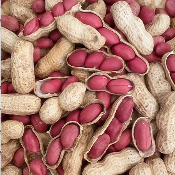 原味四粒红炒熟花生带壳3斤和5斤选项干净饱满红皮