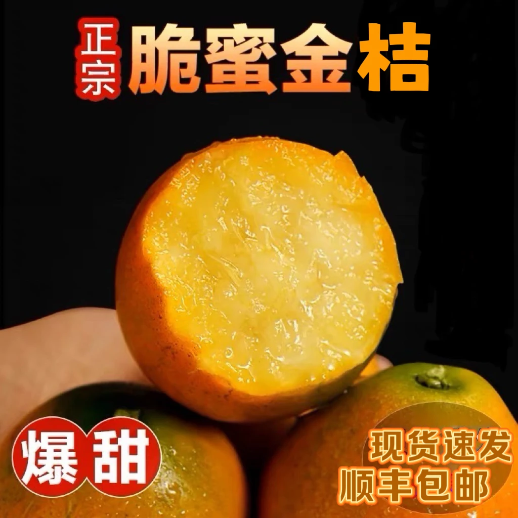 广西第三代脆蜜金桔鲜果纯甜金柑多汁纯甜皮薄无仔融安脆蜜金柑