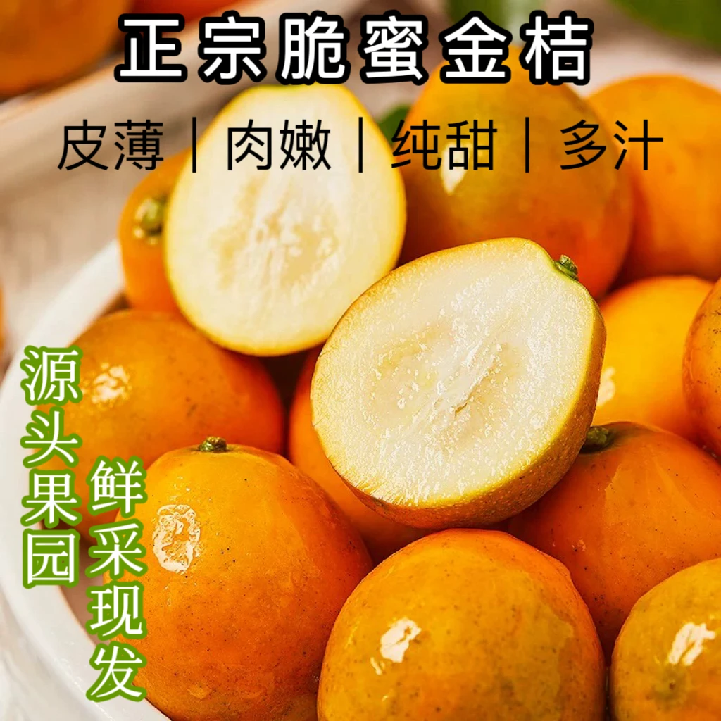 金沃源广西第三代脆蜜金桔鲜果纯甜多汁皮薄无仔优质新鲜现摘健康