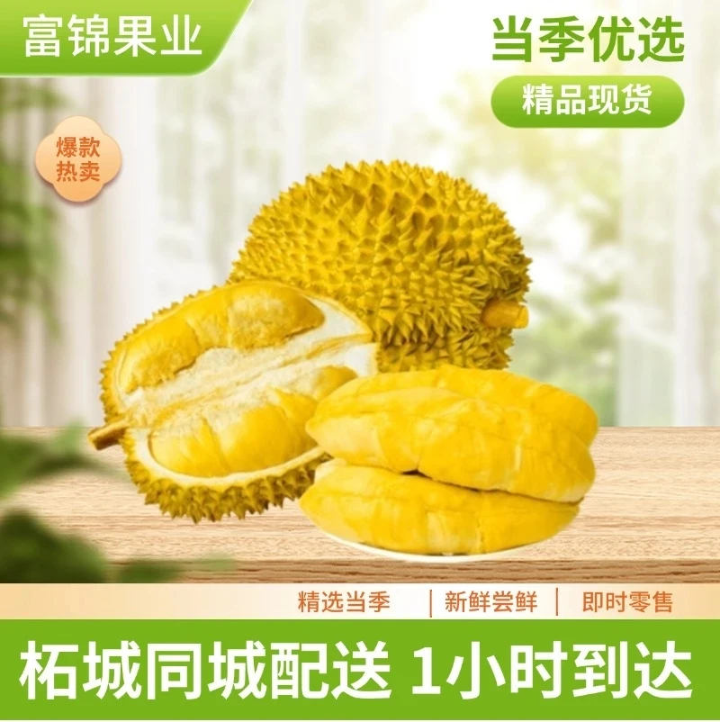 一物一拍