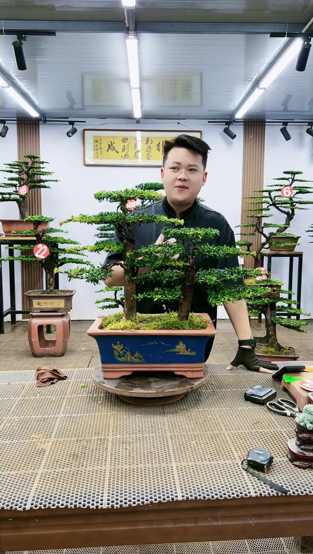 【闪购商品】一物一拍，所见即所得