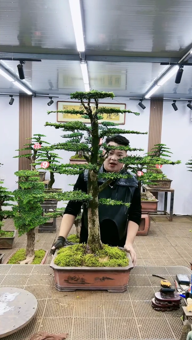 【闪购商品】一物一拍，所见即所得