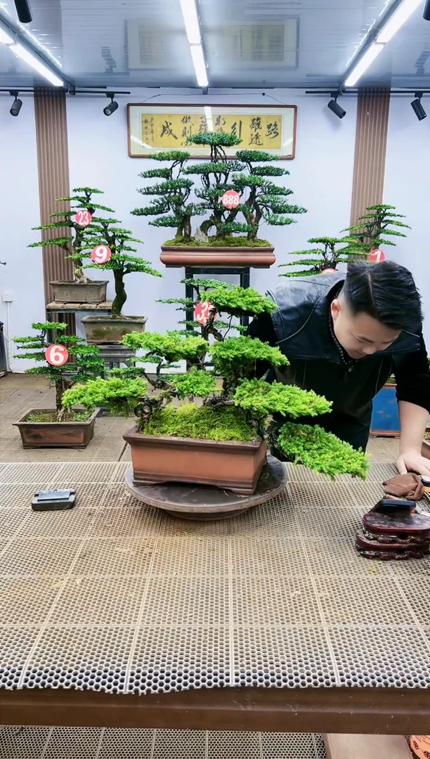 【闪购商品】一物一拍，所见即所得