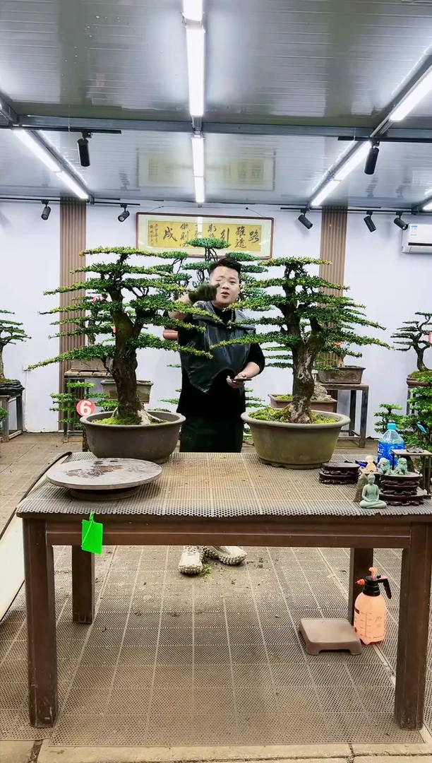 【闪购商品】一物一拍，所见即所得