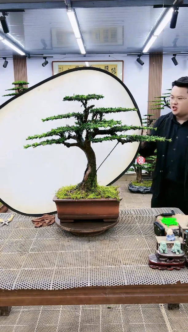 【闪购商品】一物一拍，所见即所得