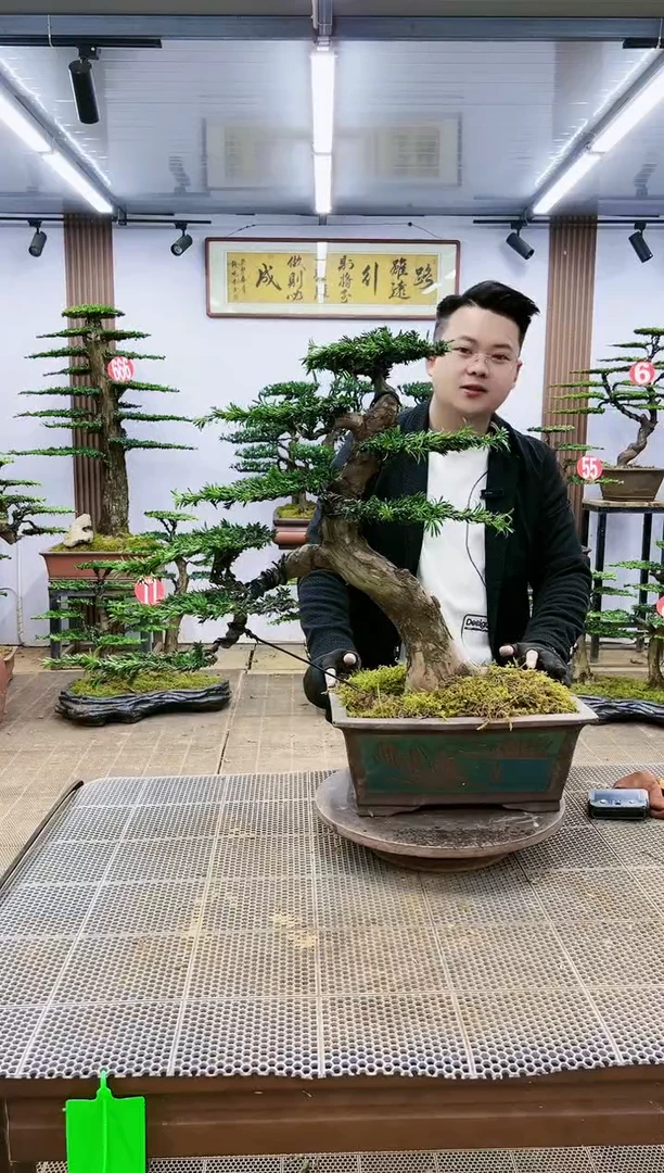 【闪购商品】一物一拍，所见即所得