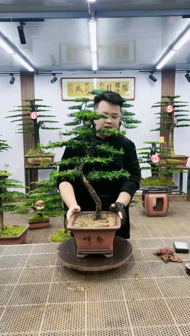 【闪购商品】一物一拍，所见即所得