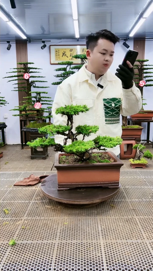 【闪购商品】一物一拍，所见即所得