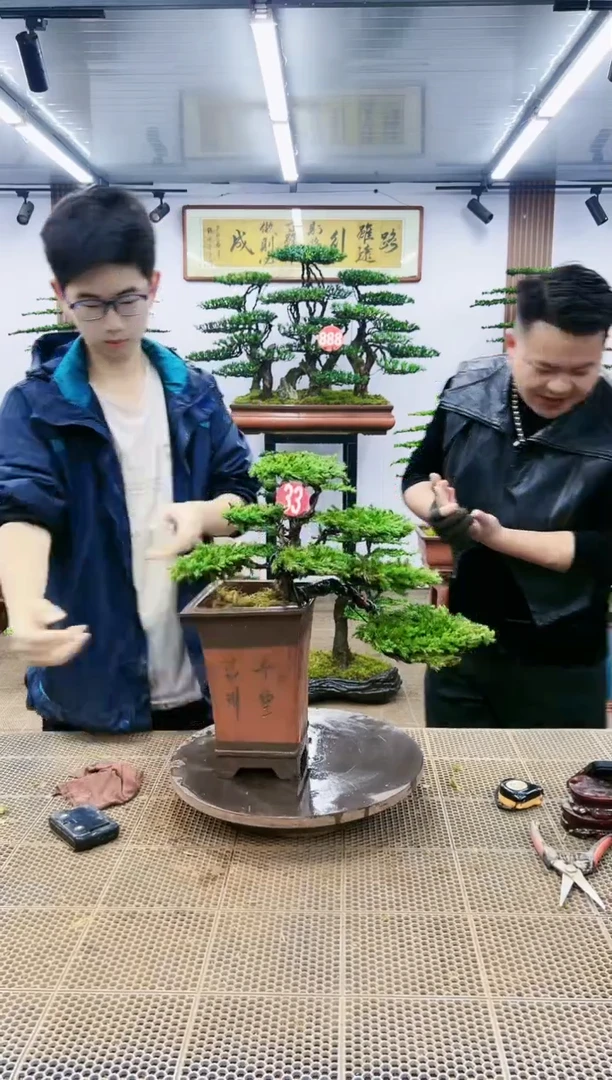 【闪购商品】一物一拍，所见即所得