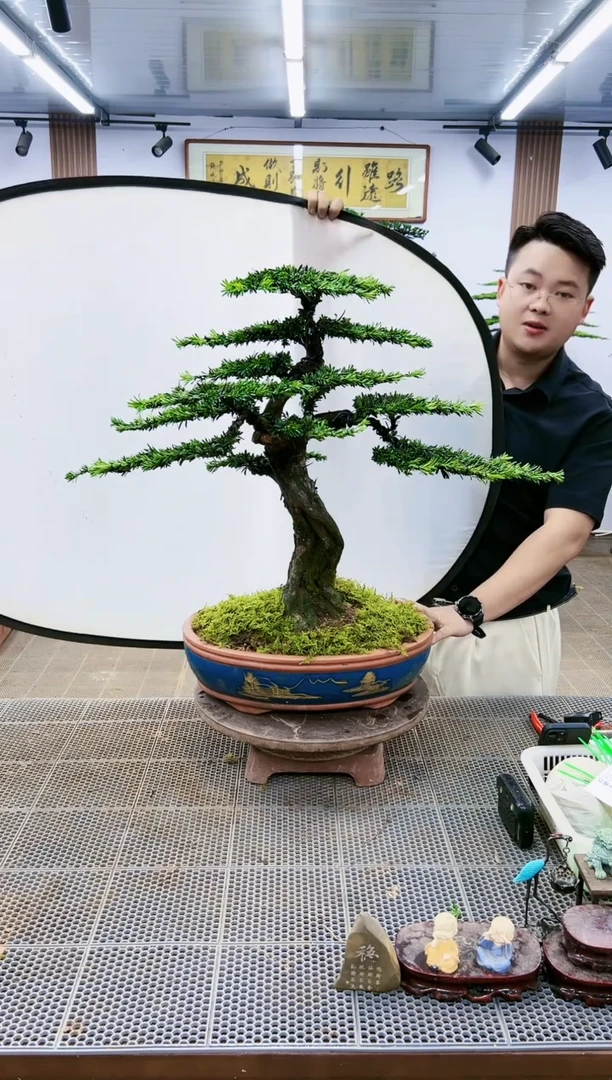 【闪购商品】1一物一拍，所见即所得