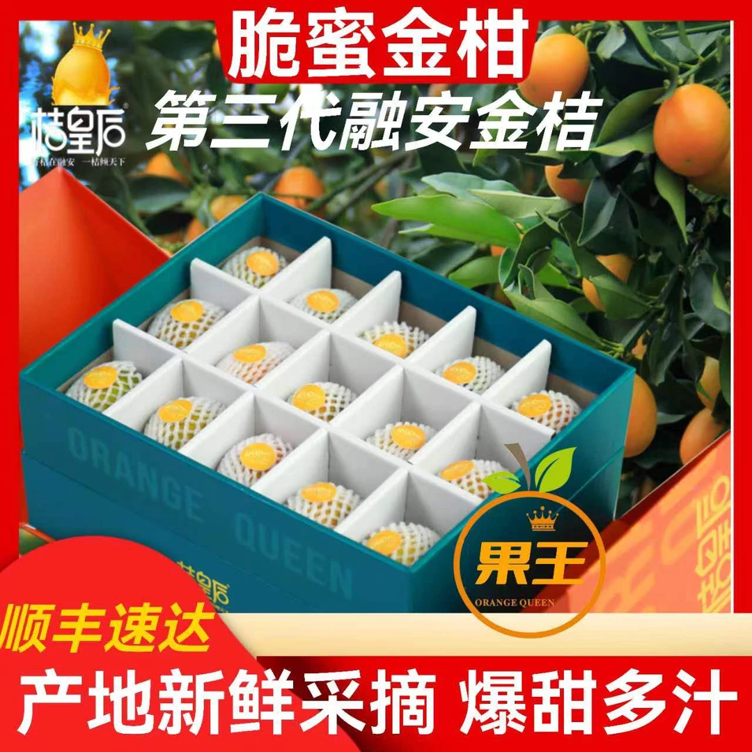 桔皇后融安金桔第3代脆蜜金桔1号果王多汁无籽30颗礼盒装品质新鲜