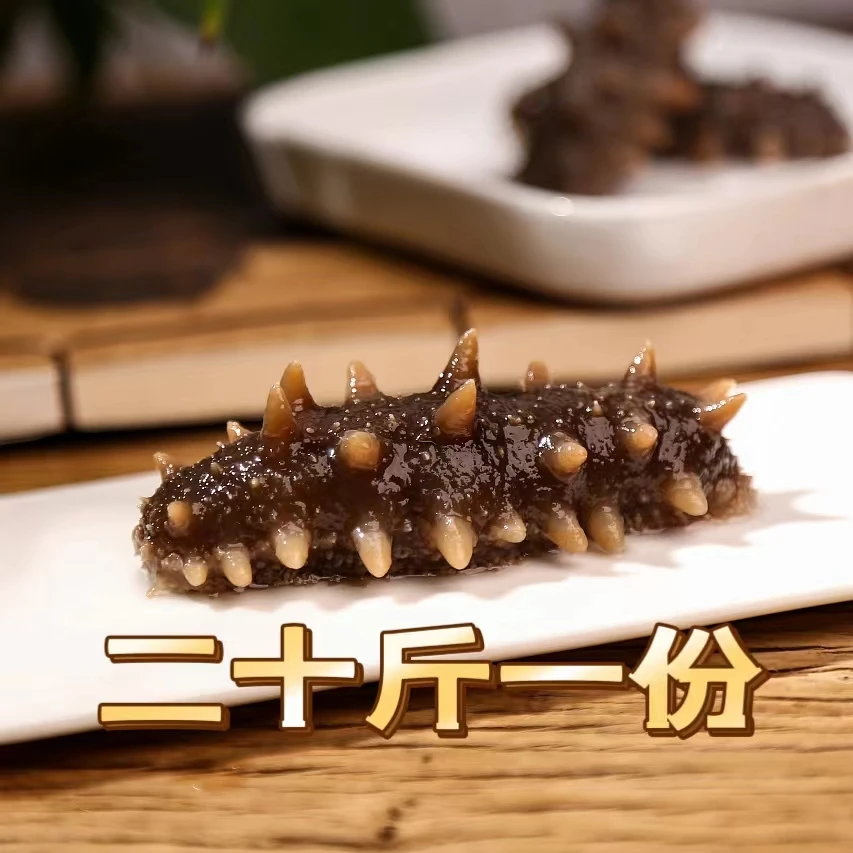 二十斤送三斤鲜海参加工原味到手8.5斤左右即食海参解冻即食底播