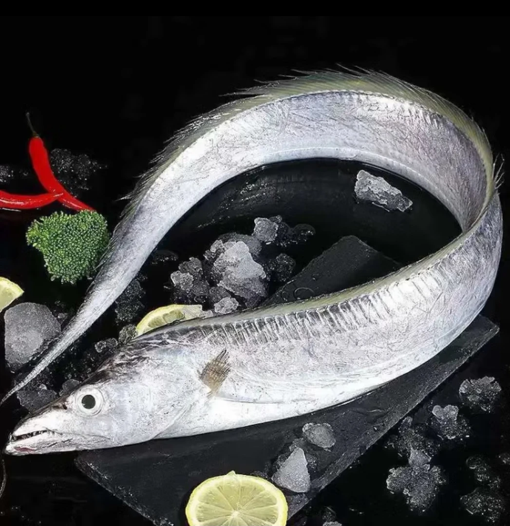 海捕带鱼3-4指宽带鱼 2.5kg （12段-16段)  切断发货