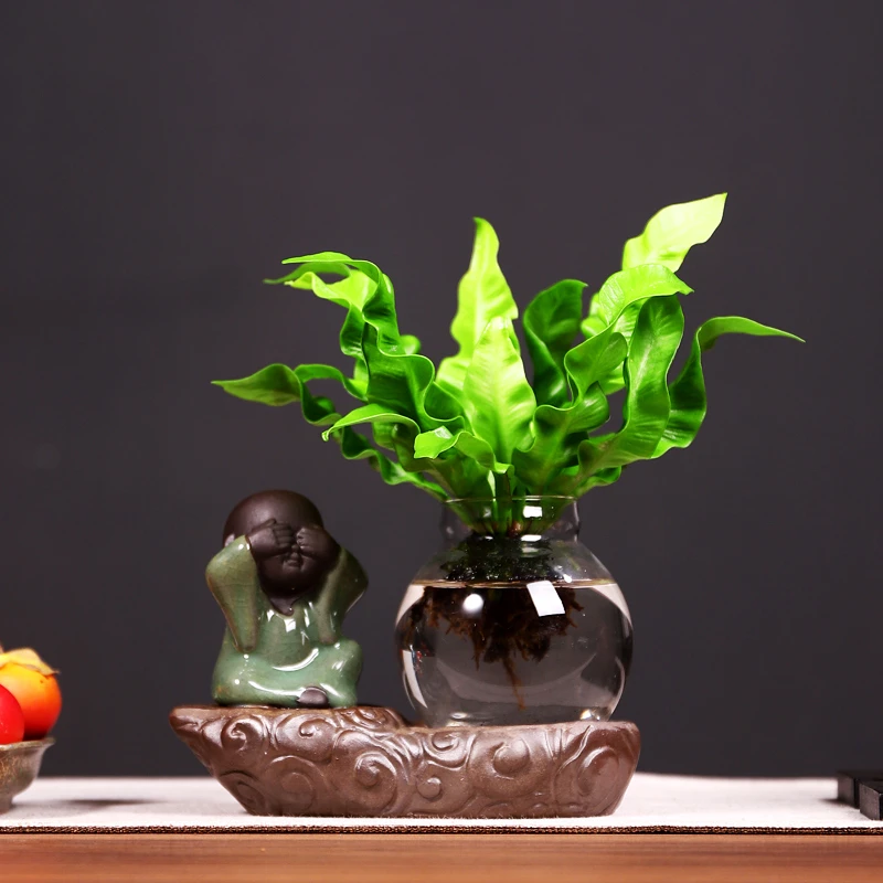 鸟巢蕨水培花卉绿植盆栽带盆好养客厅室内办公桌面植物装饰摆件