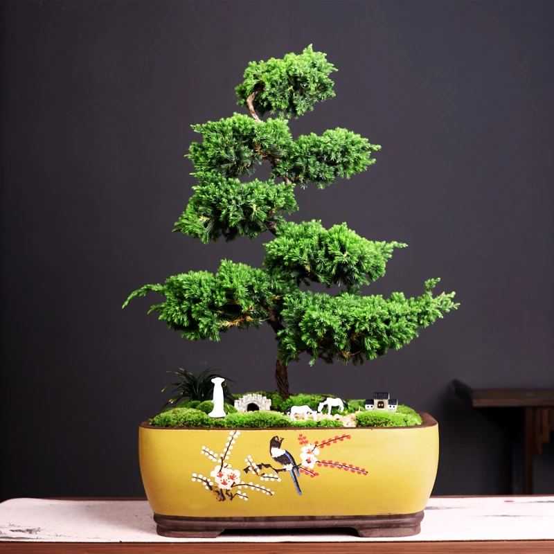 特大七层迎客松柏鸟语花香玉龙草青苔造景李白拱桥古房一对小马驹