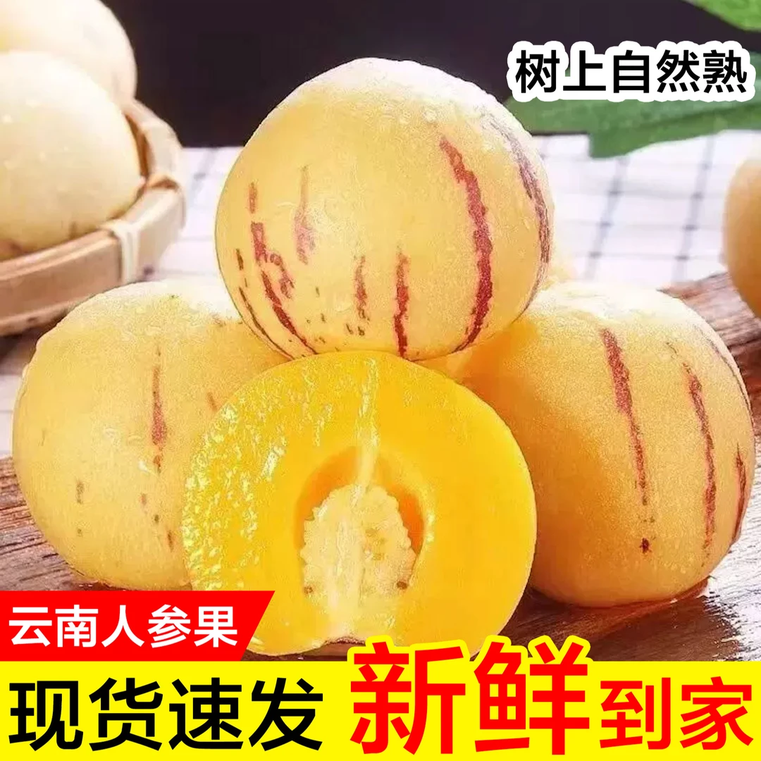 云南石林人参果清甜多汁现摘现发4.5-5斤坏果包赔cz