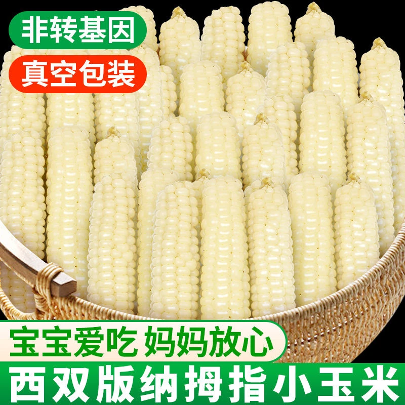 【大小扬哥推荐】【商城好物推荐】云南西双版纳拇指玉米新鲜手指