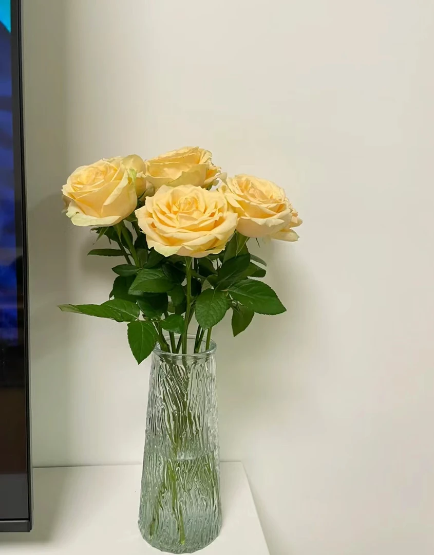 10支香槟玫瑰 居家办公插花（不含瓶）