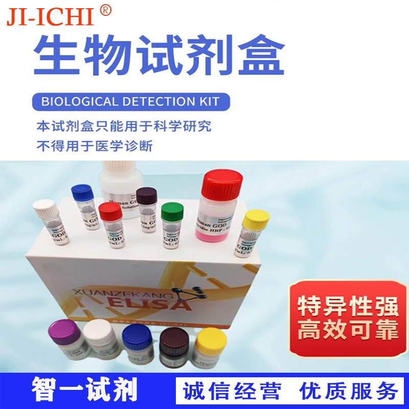 人（Human）5羟色胺（5-HT）ELISA检测试剂盒