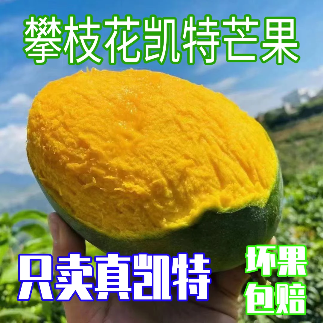 【小开心推荐】攀枝花凯特芒果高山种植大脸芒鲜甜皮薄肉厚5-9斤