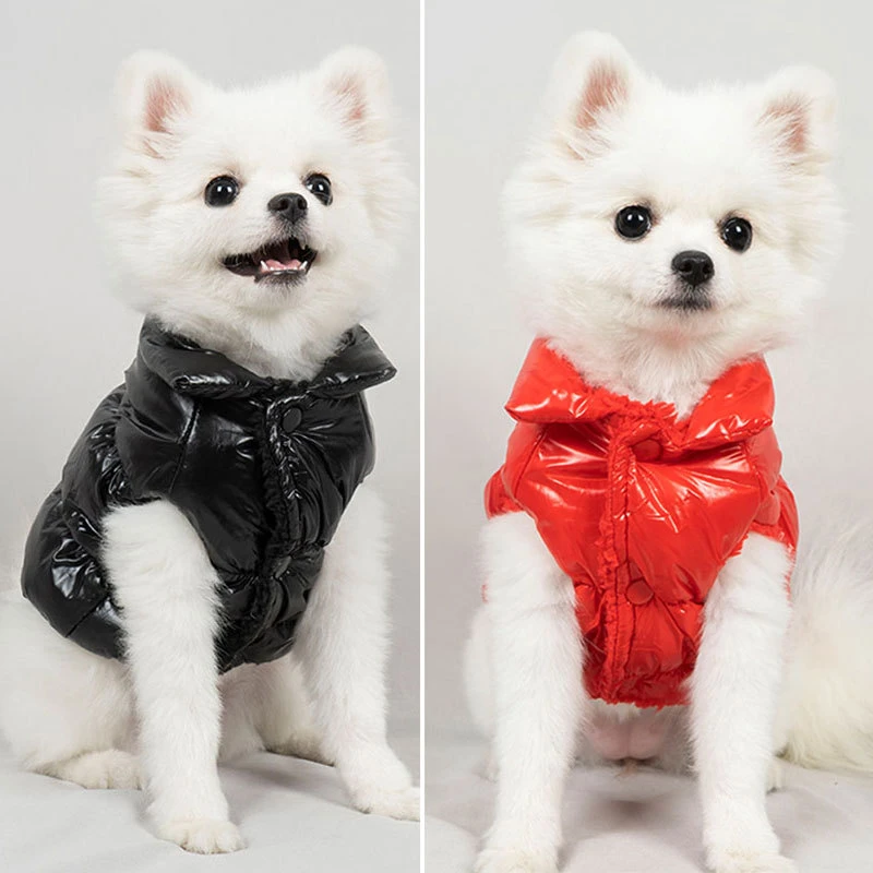 狗狗羽绒服马甲宠物衣服冬天保暖两脚小狗泰迪加厚棉服猫咪衣服