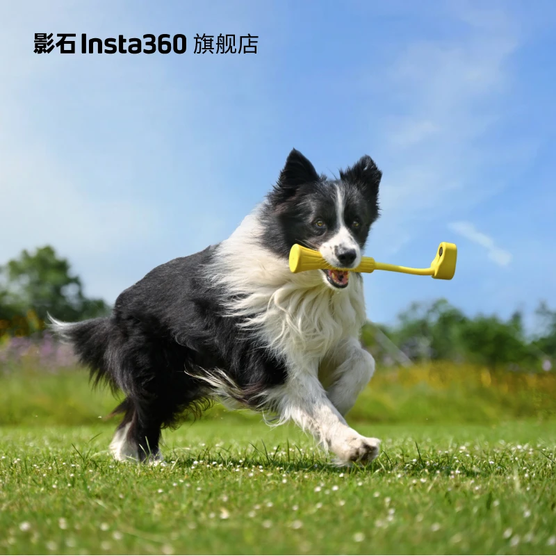 影石Insta360 GO 3 宠物口咬自拍杆 宠物拍摄防抖食品级 适配GO 3