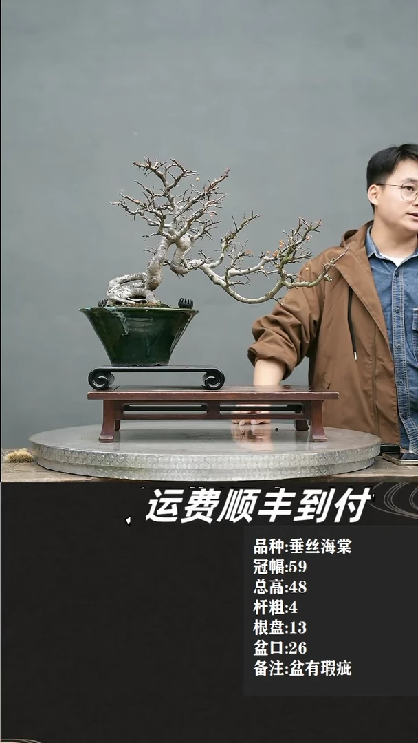 【闪购商品】7垂丝海棠