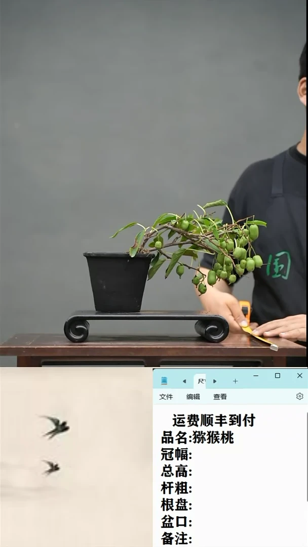 【闪购商品】39 猕猴桃