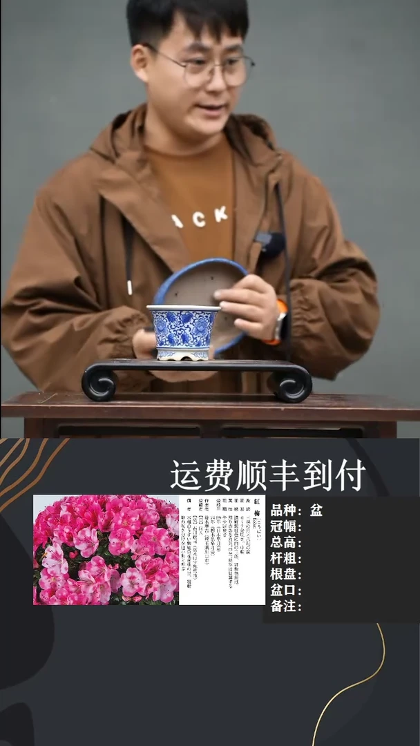 【闪购商品】12 盆