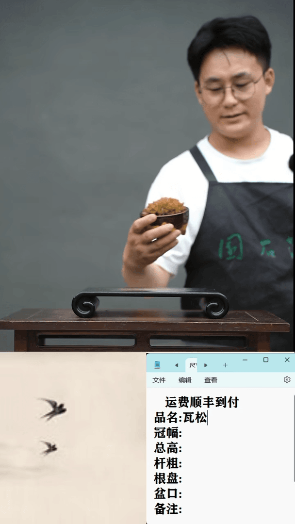 【闪购商品】11 瓦松