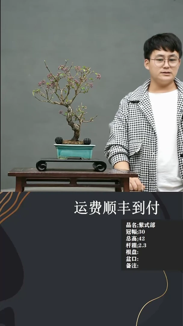 【闪购商品】2    紫式部