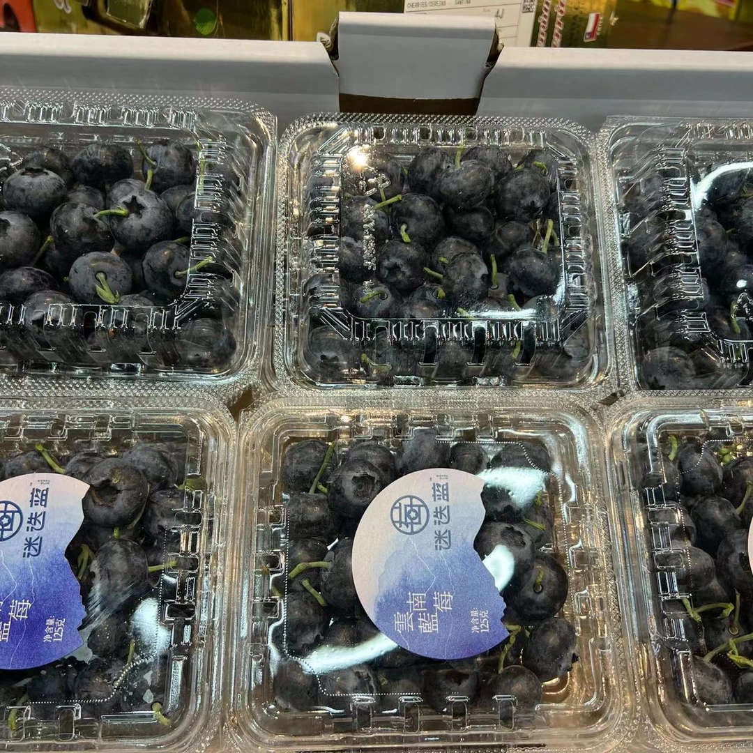 【吉林市同城配送】迷迭蓝大粒蓝莓1mm2mm125g