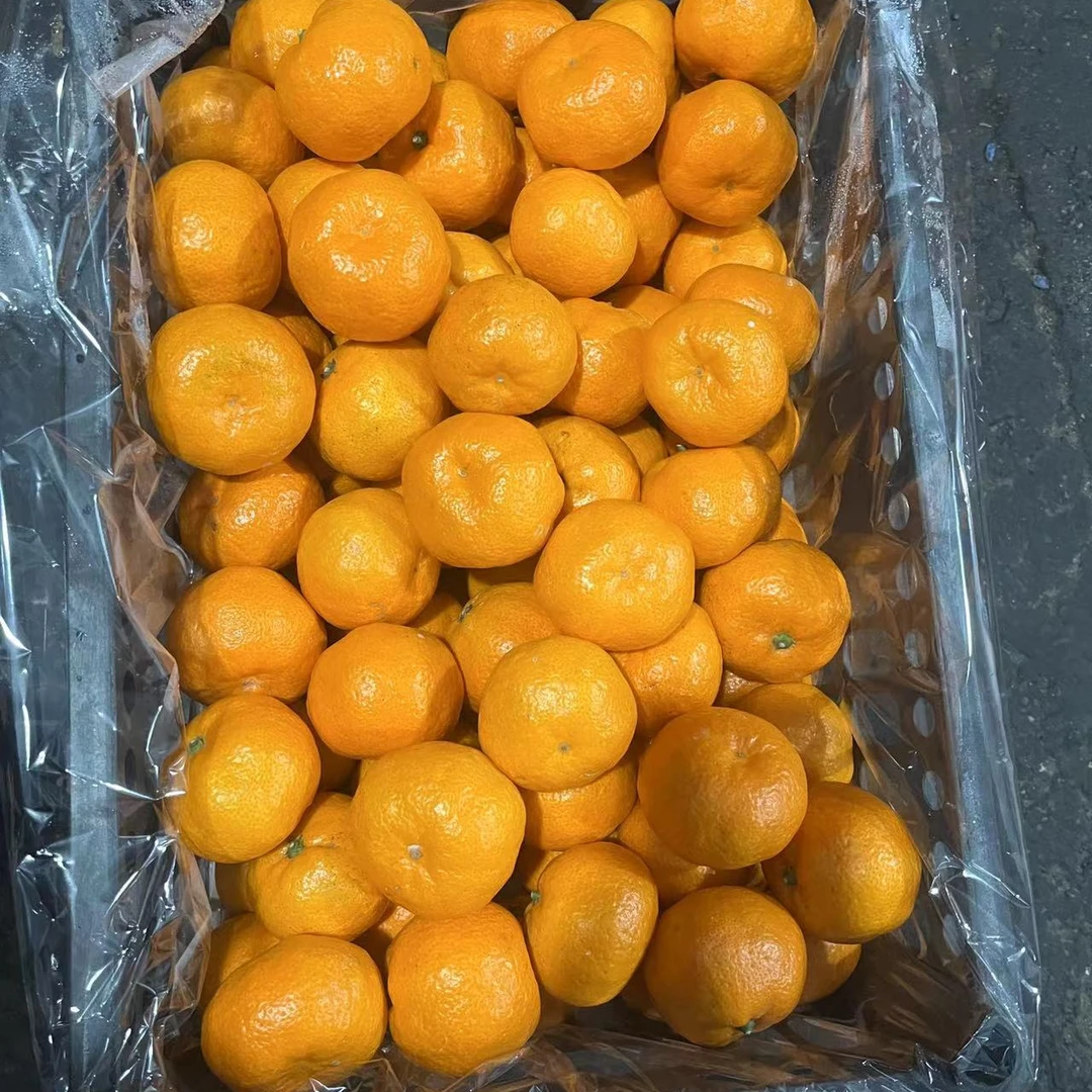 【吉林市同城配送】黄岩蜜桔
