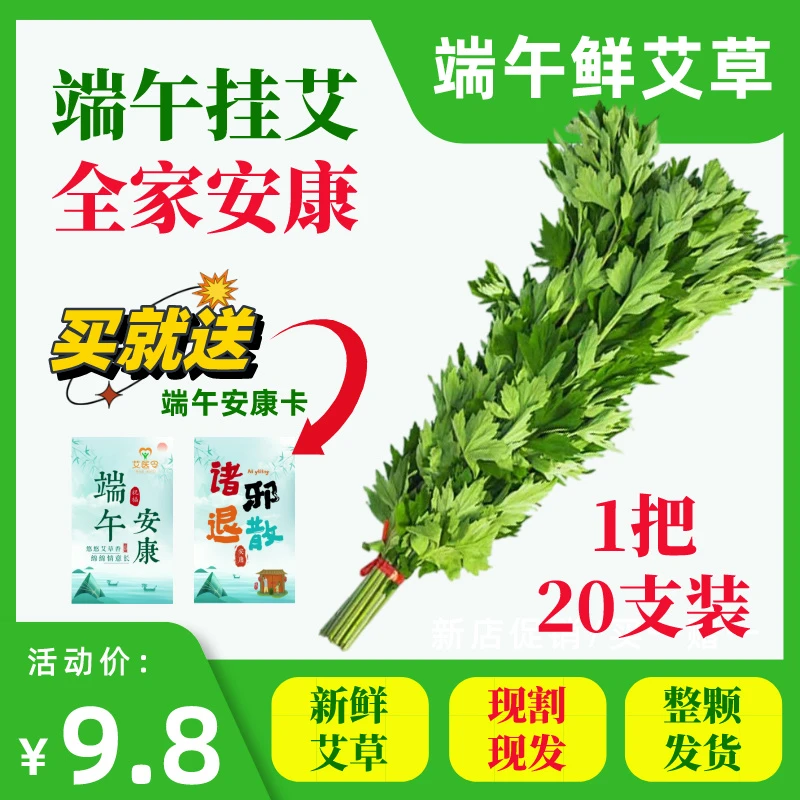 艾医令端午节鲜艾草花束挂门上艾草驱蚊艾叶大叶艾草端午香包香囊