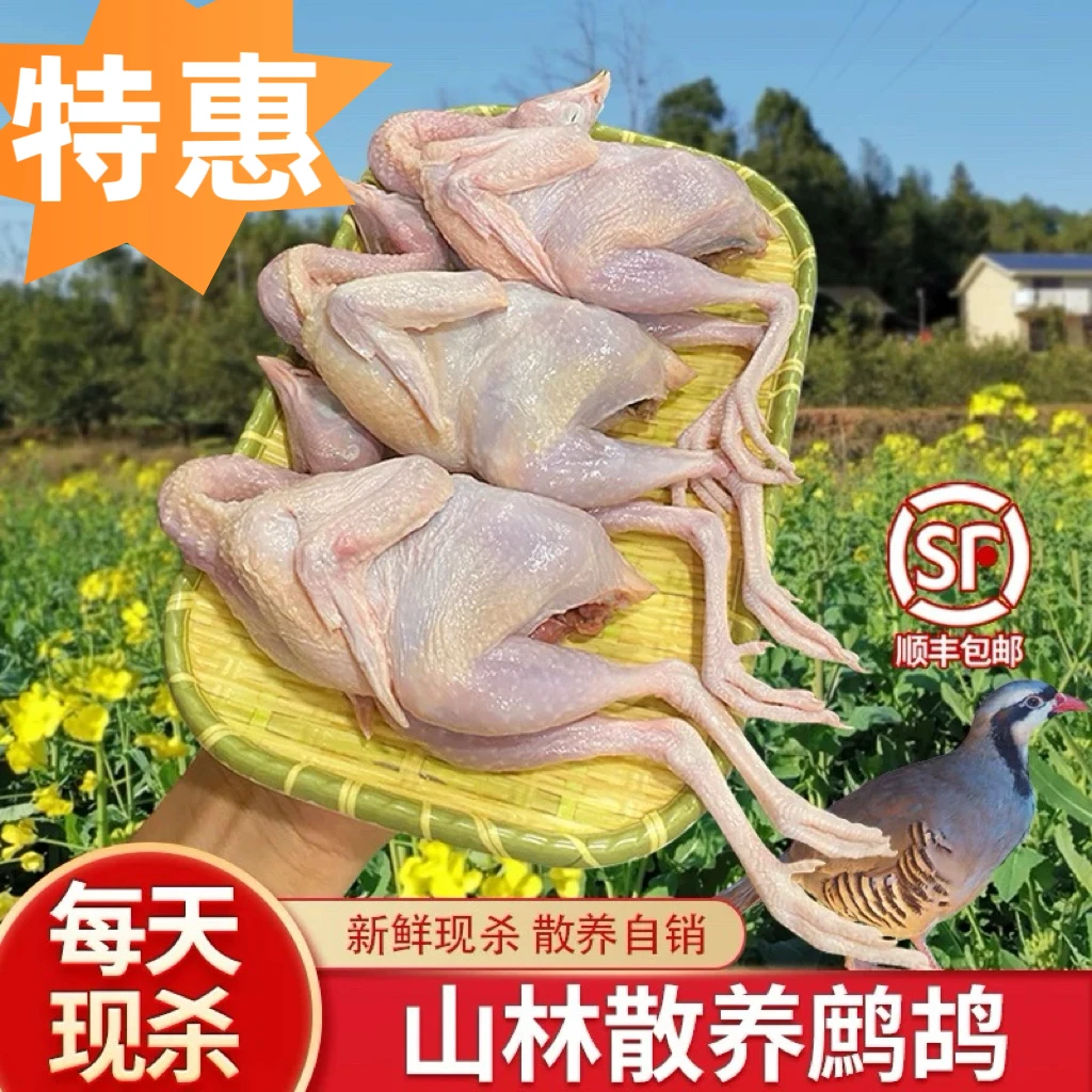 买二送二 新鲜鹧鸪肉 鸟鲜活现杀鸟肉白条农家散养 包冰率10%以内
