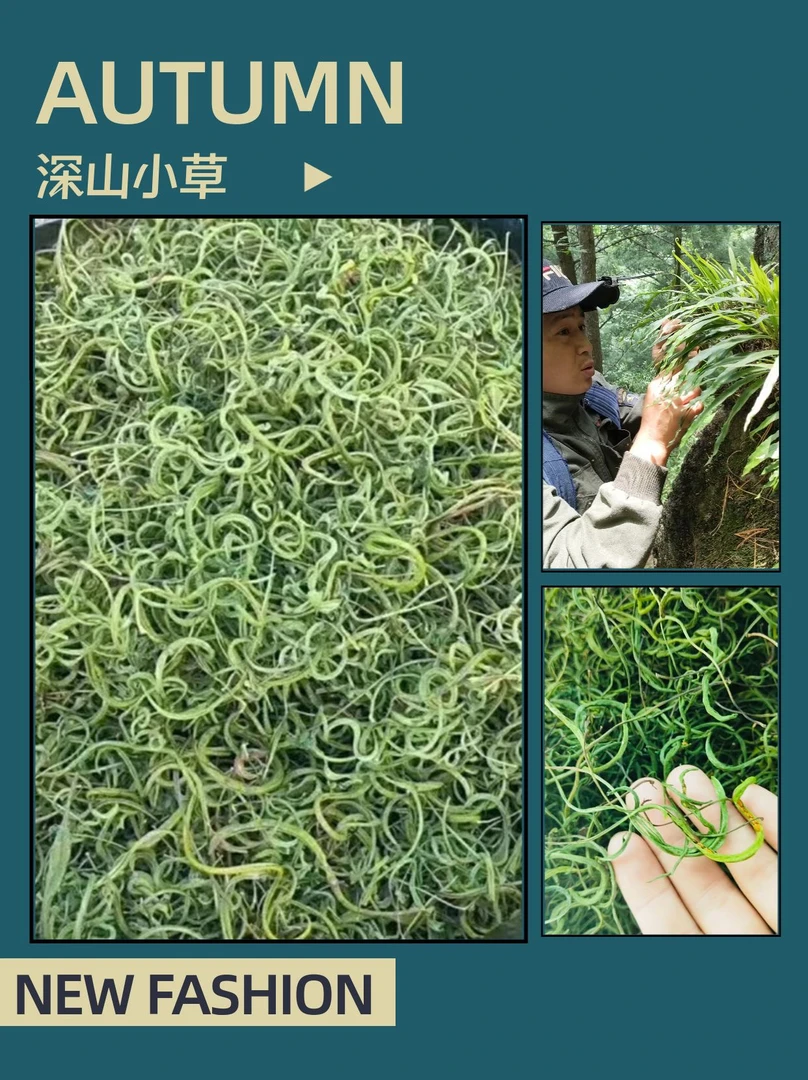 深山小草50克、拍一发二