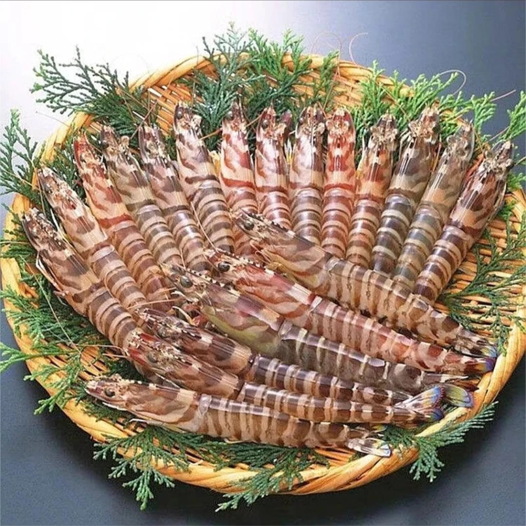（嫌小勿拍））野生竹节虾九节虾30-35只左右/斤 250g/盒  4+1盒活冻