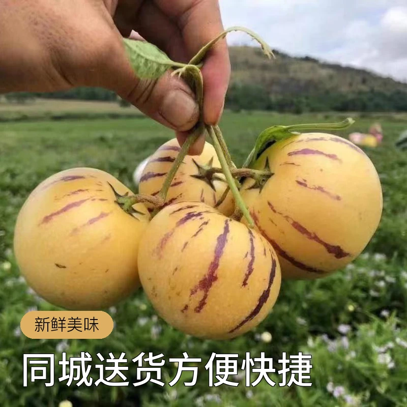【同城送货】人生果