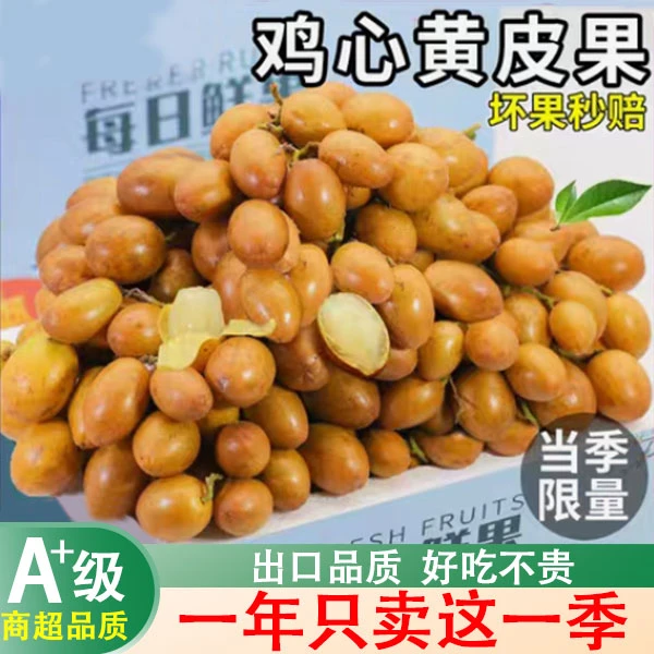 福建鸡心黄皮果新鲜冰糖当季现摘酸甜黄弹子香甜甄水果孕妇整包邮