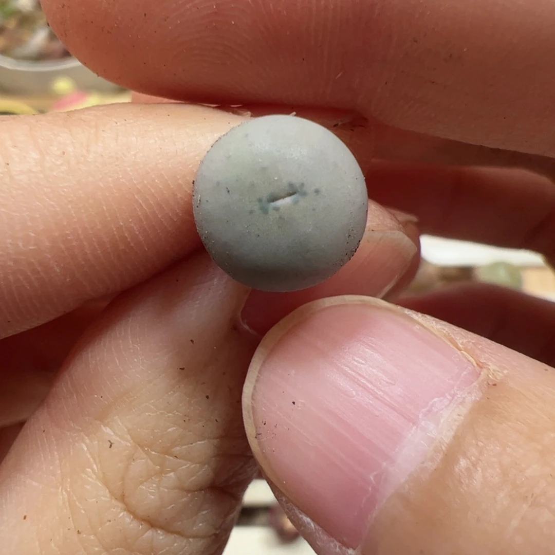 【闪购商品】321 福利