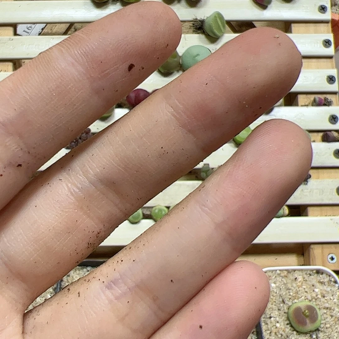 【闪购商品】文**叔20元奶瓶福利