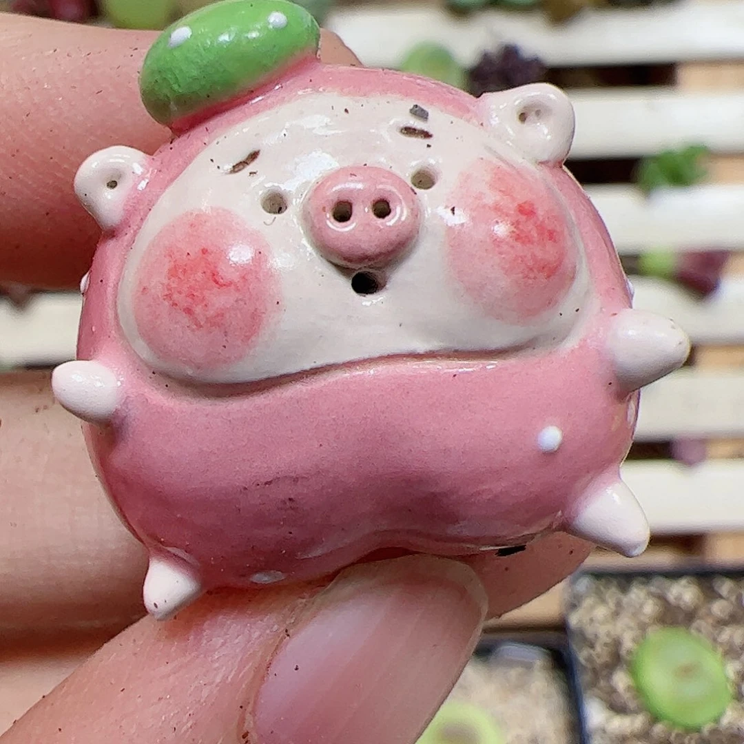 【闪购商品】花*渚火龙果100元