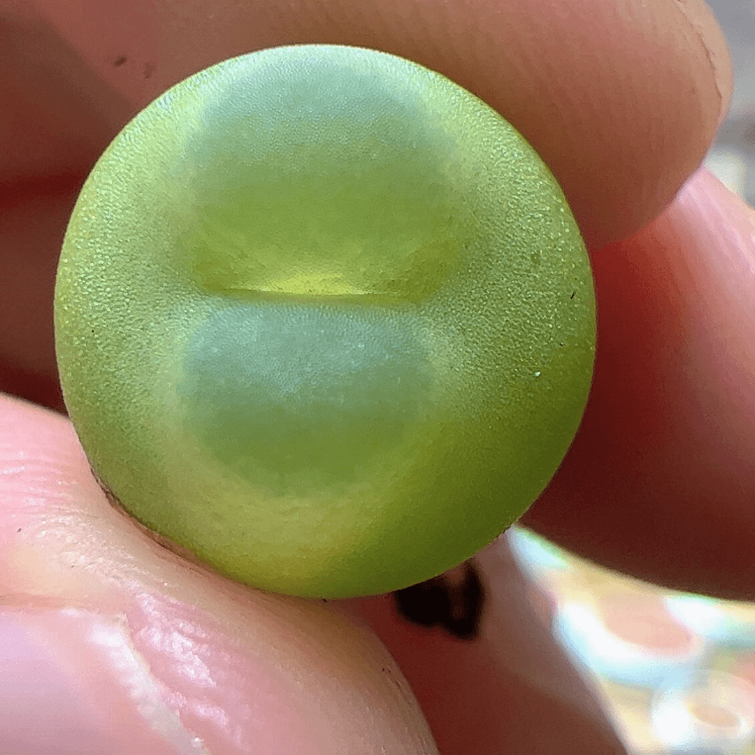 【闪购商品】310 拉登