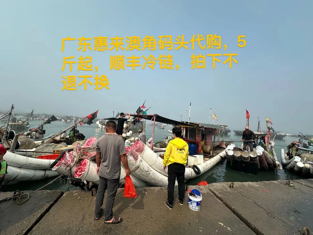 澳角码头代购，优质选品，新鲜至上