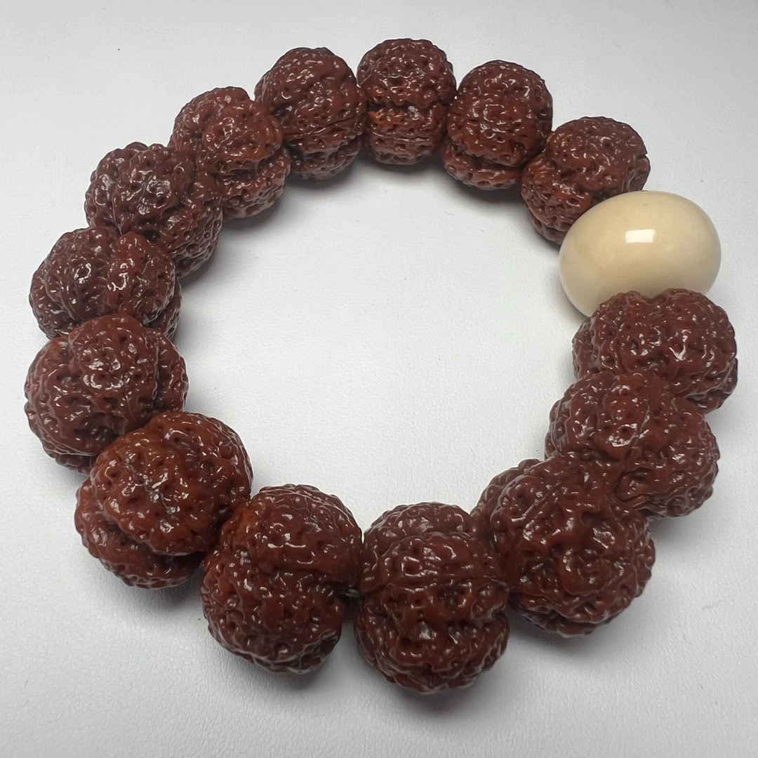 精品爆肉大金刚菩提