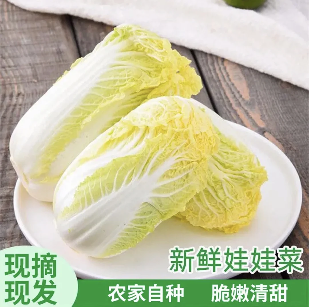 【现挖现发】精品黄心娃娃菜露天种植新鲜蔬菜3-6颗5斤非白菜原生