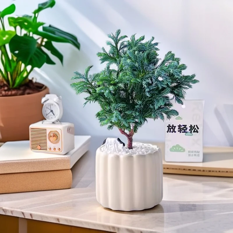 蓝湖柏盆栽绿植波尔瓦蓝冰柏雾凇圣诞树蓝湖杉大棵耐晒耐高温好养